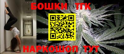 крисы Братск