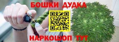крисы Братск