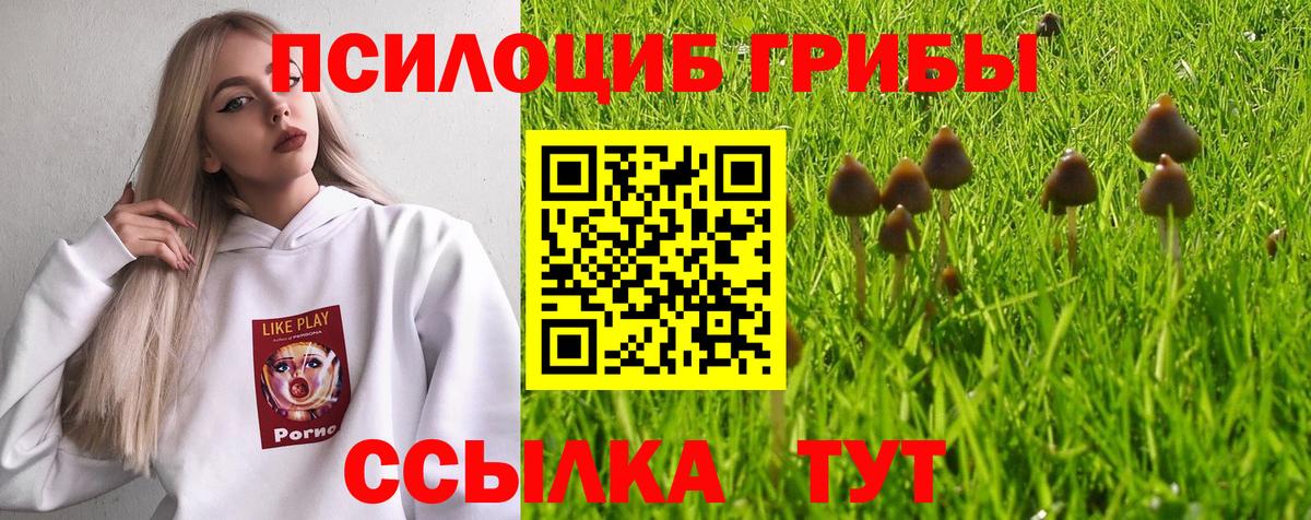 Галлюциногенные грибы мухоморы Батайск