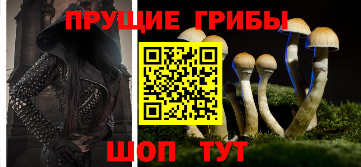 Батайск  Галлюциногенные грибы Psilocybe  Вход с VPN 